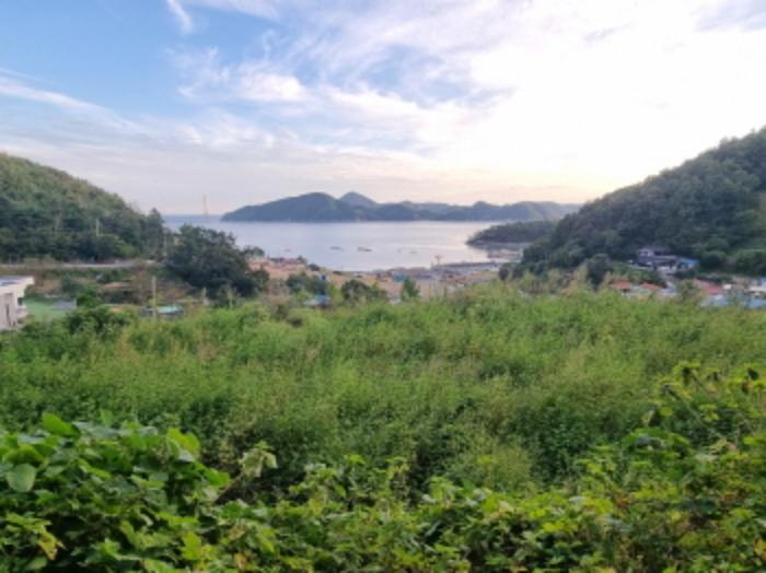 2024타경59176 법원경매 사진35 | 전남 여수시 토지 경매