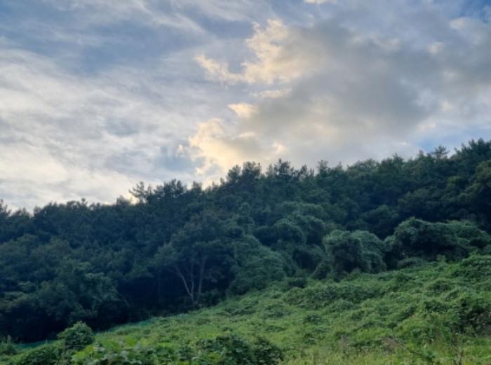 2024타경59176 법원경매 사진46 | 전남 여수시 토지 경매