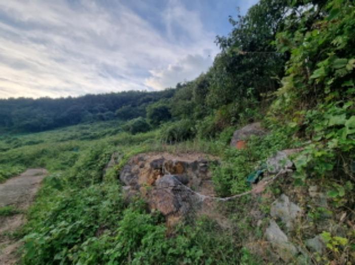 2024타경59176 법원경매 사진49 | 전남 여수시 토지 경매