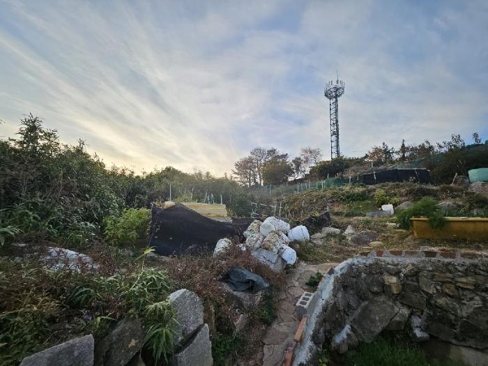 2024타경32367 법원경매 사진3 | 경남 거제시 토지 경매