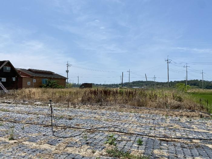 2024타경53349 법원경매 사진4 | 전남 신안군 토지 경매