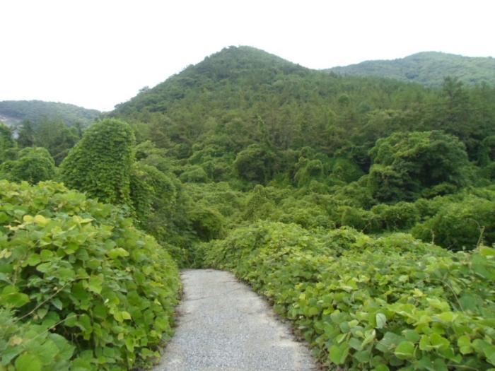 전라남도 해남군 화원면 영호리 산146-1 법원경매 물건 대표사진