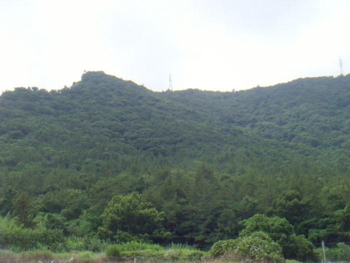2024타경52857 법원경매 사진5 | 전남 해남군 토지 경매