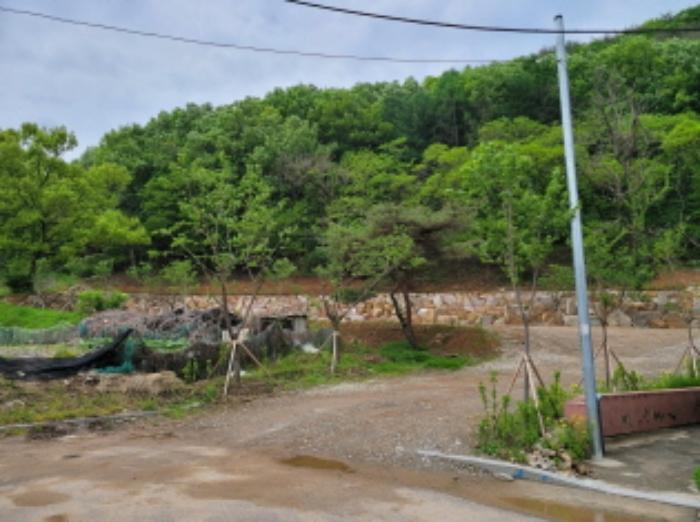 법원경매 2024타경1634 사진7 | 대구 달성군 가창면 삼산리 901 토지 경매