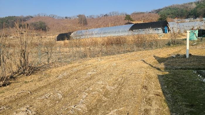 법원경매 2024타경401024 사진2 | 횡성군 횡성읍 갈풍리 167 전 경매