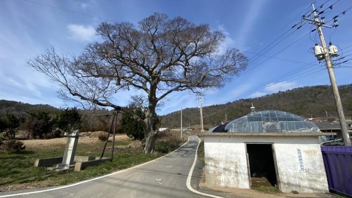 2024타경291 법원경매 사진3 | 전남 신안군 임야 경매