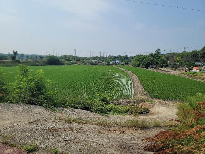 2024타경23338 법원경매 사진2 | 전북 군산시 답 경매
