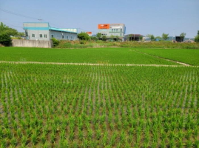 2024타경23338 법원경매 사진5 | 전북 군산시 답 경매