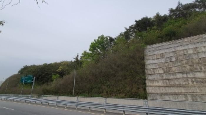 2024타경101335 법원경매 사진7 | 창원 마산합포구 임야 경매