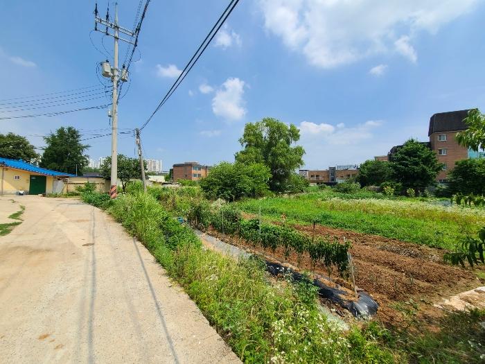 법원경매 2024타경2867 사진2 | 평택시 팽성읍 주택건물 경매