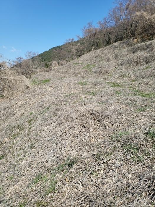 법원경매 2024타경1599 사진2 | 남해군 남면 선구리 임야 경매