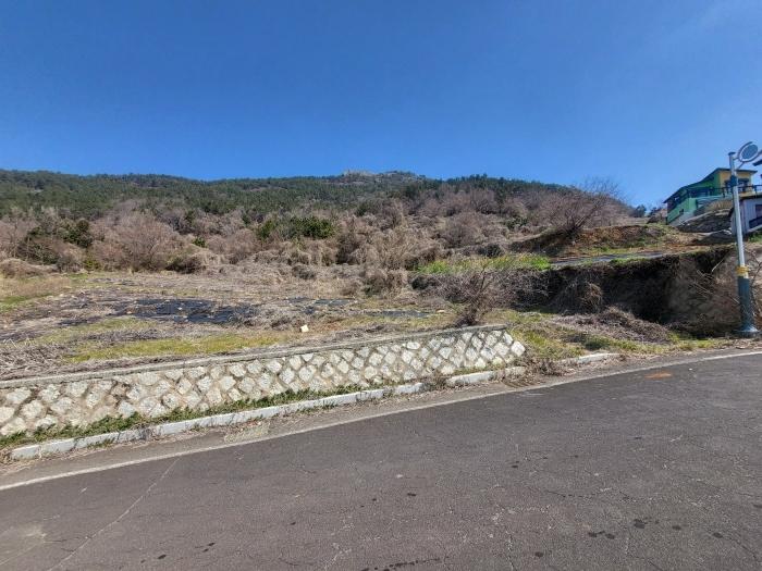 법원경매 2024타경1599 사진3 | 남해군 남면 선구리 임야 경매