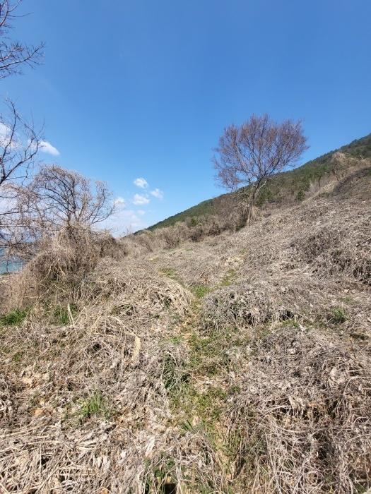 법원경매 2024타경1599 사진5 | 남해군 남면 선구리 임야 경매