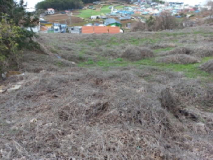 법원경매 2024타경1599 사진7 | 남해군 남면 선구리 임야 경매