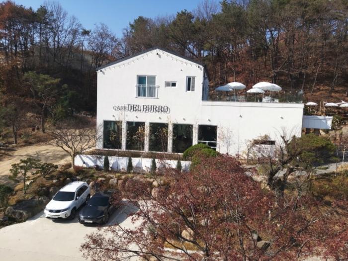 2022타경7723 법원경매 사진4 | 세종 장군면 근린시설 경매