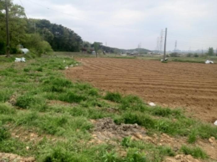 2024타경1243 법원경매 사진28 | 충남 당진시 답 경매