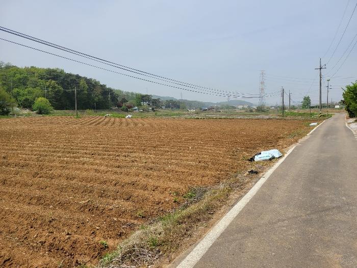 2024타경1243 법원경매 사진8 | 충남 당진시 답 경매