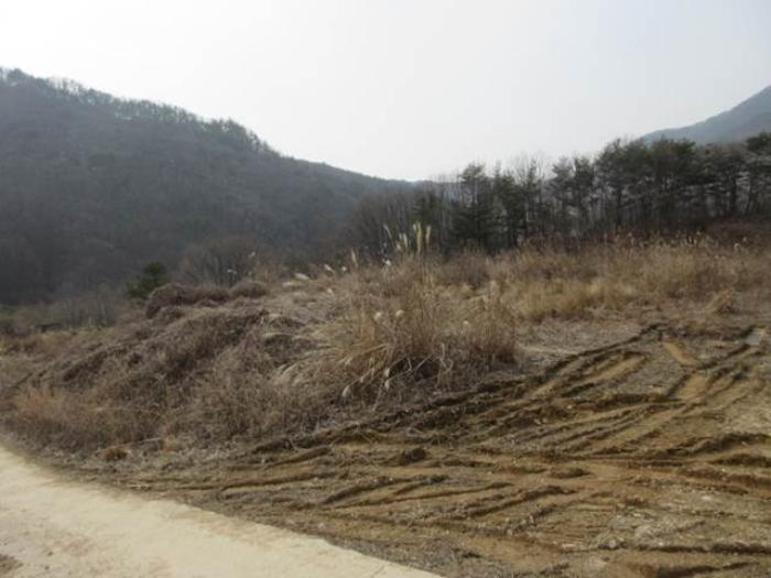 법원경매 2024타경285 사진22 | 문경시 농암면 내서리 737 주택건물 경매