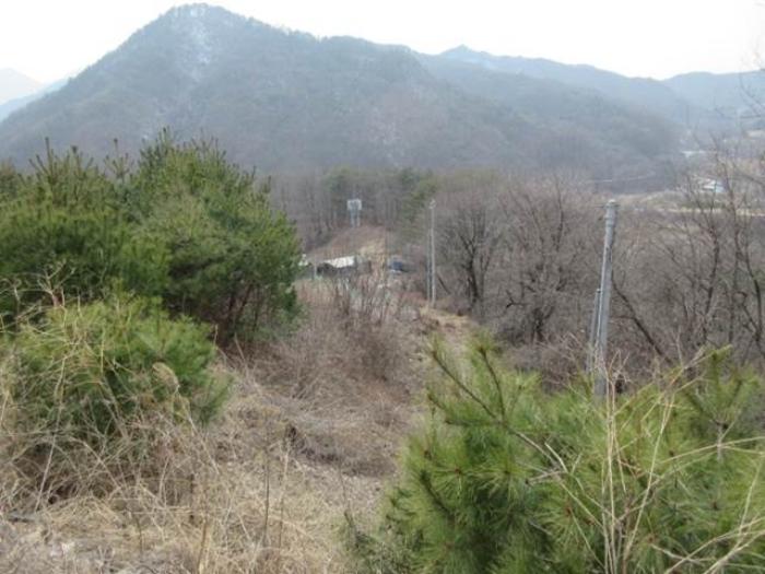 법원경매 2024타경285 사진5 | 문경시 농암면 내서리 737 주택건물 경매