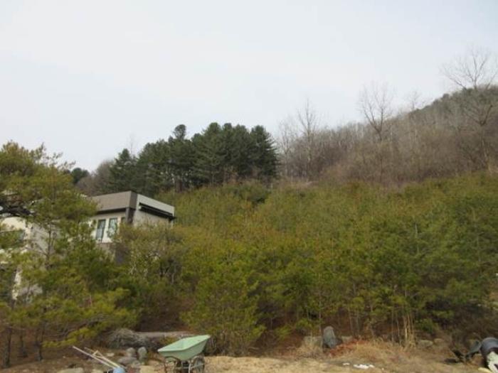 법원경매 2024타경285 사진6 | 문경시 농암면 내서리 737 주택건물 경매