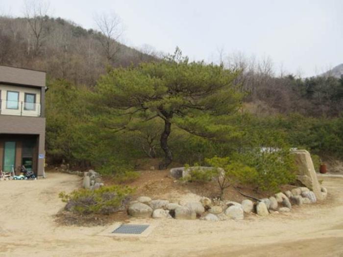 법원경매 2024타경285 사진7 | 문경시 농암면 내서리 737 주택건물 경매