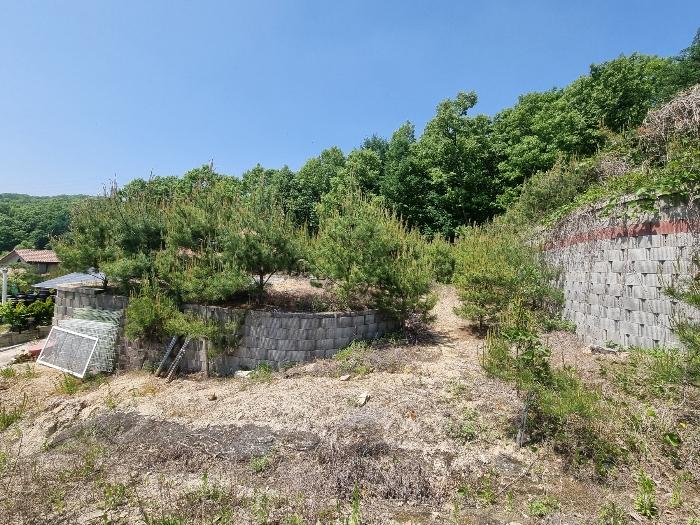 충북 충주시 앙성면 사미리 산20-2 임야 사진 2