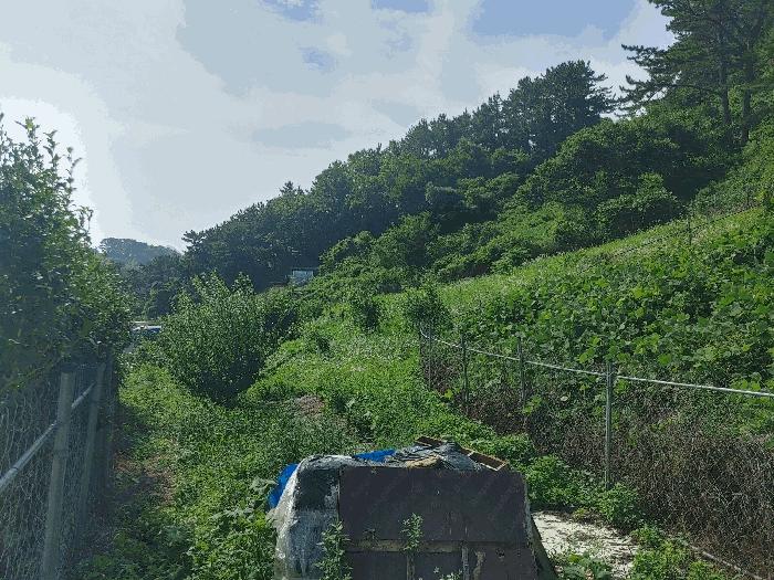 법원경매 2024타경26454 사진2 | 통영시 평림동 615-1 전 경매