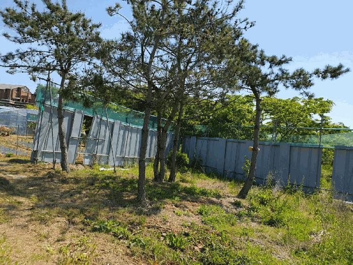 2024타경52766 법원경매 사진5 | 전남 신안군 전 경매