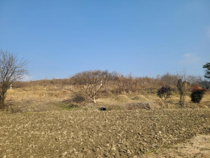 경남 함안군 칠서면 계내리 427-3 전 사진 3