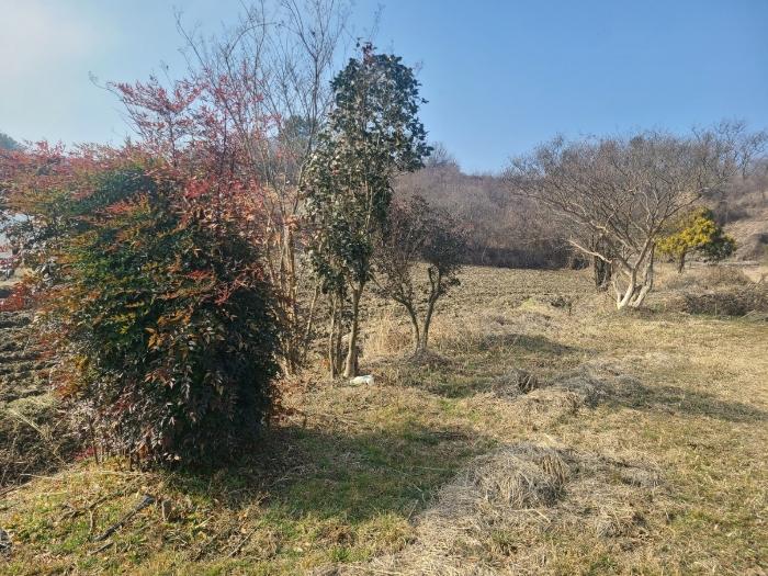 2024타경456 법원경매 사진4 | 경남 함안군 전답 경매