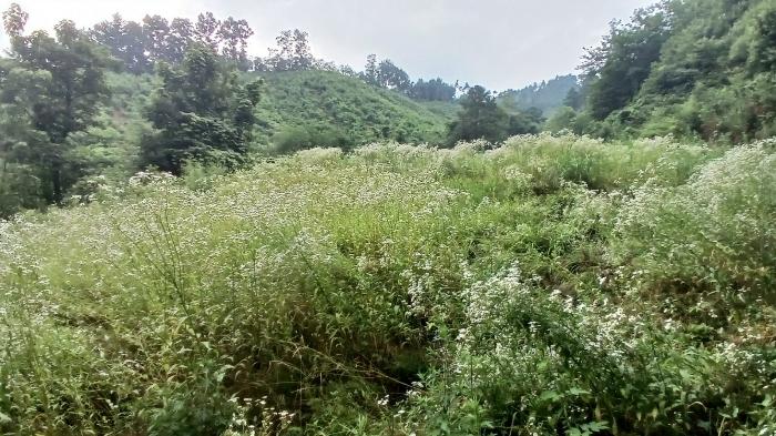 경남 거창군 고제면 농산리 31 주택 사진 2
