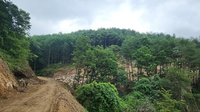 경남 거창군 고제면 농산리 31 주택 사진 4