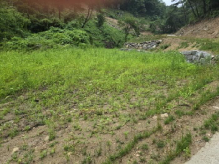 2024타경809 법원경매 사진43 | 경남 거창군 주택건물 경매