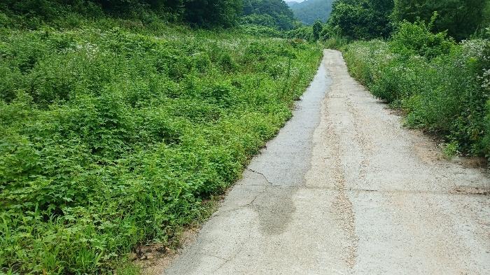 경남 거창군 고제면 농산리 31 주택 사진 6