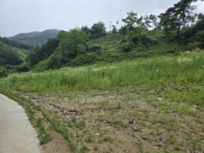 2024타경809 법원경매 사진65 | 경남 거창군 주택건물 경매