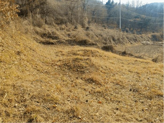 2024타경601 법원경매 사진10 | 경남 합천군 임야 경매
