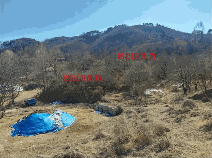 2024타경601 법원경매 사진13 | 경남 합천군 임야 경매