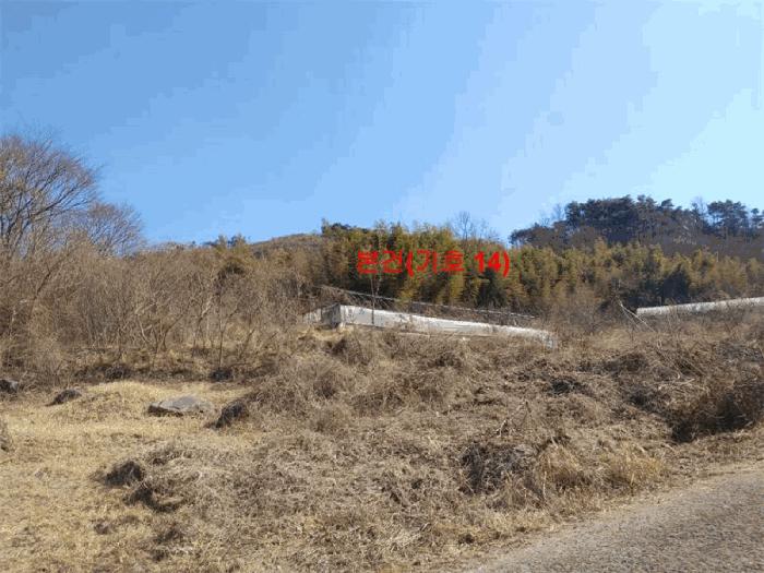 2024타경601 법원경매 사진19 | 경남 합천군 임야 경매