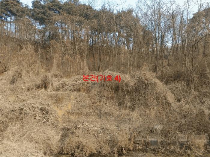 2024타경601 법원경매 사진20 | 경남 합천군 임야 경매
