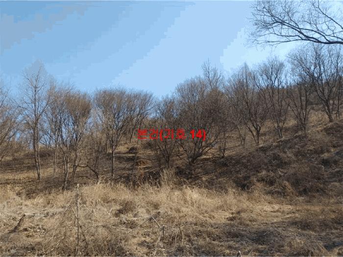 2024타경601 법원경매 사진3 | 경남 합천군 임야 경매