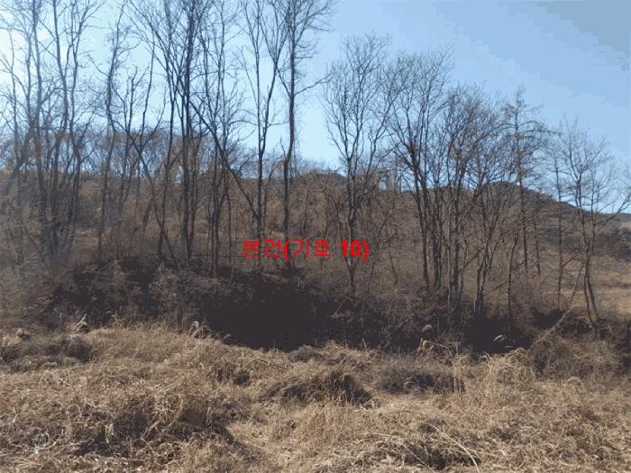 2024타경601 법원경매 사진4 | 경남 합천군 임야 경매