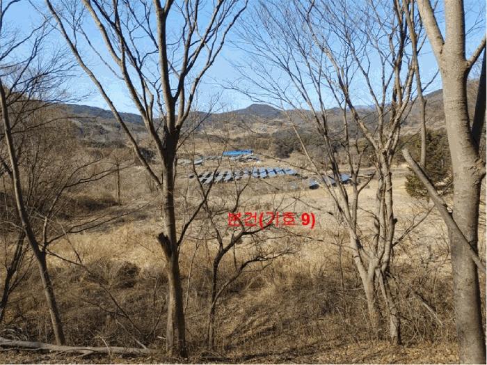 2024타경601 법원경매 사진5 | 경남 합천군 임야 경매