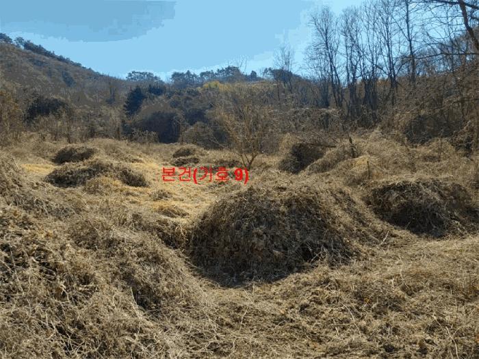 2024타경601 법원경매 사진7 | 경남 합천군 임야 경매