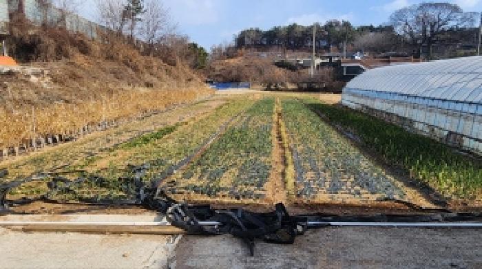 2025타경50497 법원경매 사진3 | 전남 광양시 답 경매