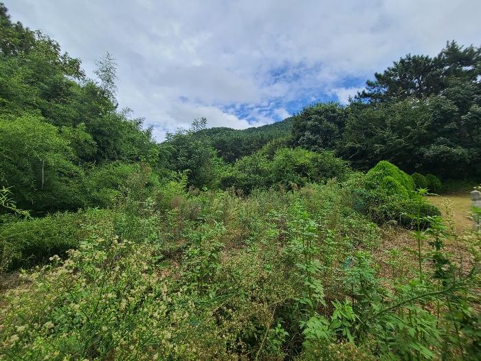 경상남도 고성군 대가면 암전리 385-1 법원경매 물건 대표사진