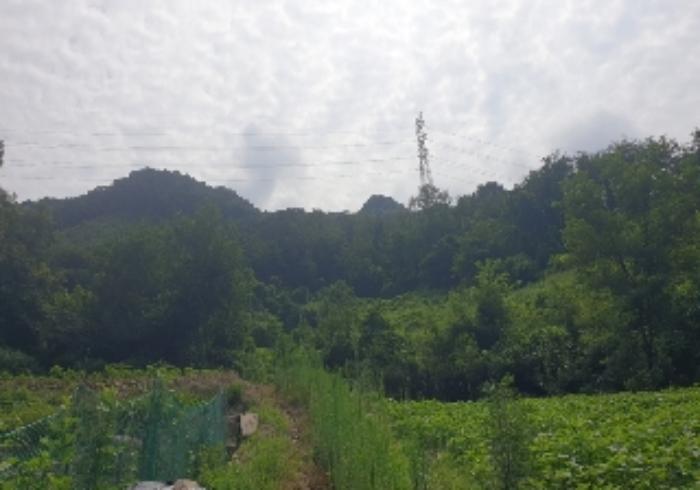 2024타경33678 법원경매 사진4 | 충북 충주시 전 경매