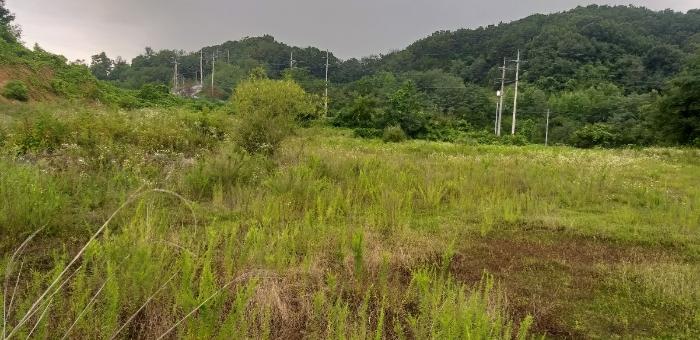2024타경568 법원경매 사진2 | 충북 영동군 임야 경매
