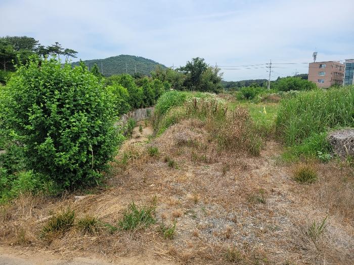 2024타경2307 법원경매 사진3 | 충남 서산시 전 경매
