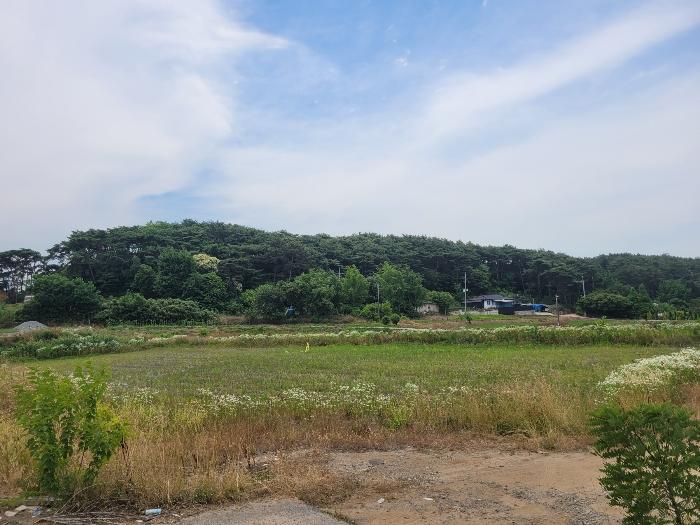 충청남도 서산시 대산읍 대산리 1300-2 법원경매 물건 대표사진