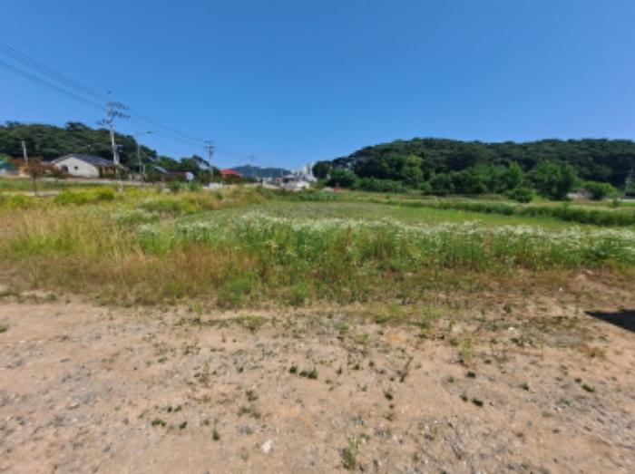 2024타경2307 법원경매 사진11 | 충남 서산시 전 경매